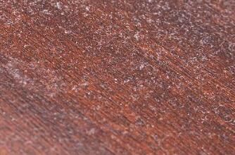 對(duì)于家里灰塵的清理，有什么方法嗎？