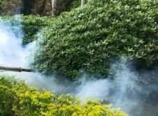 四害消殺完成后，需要做哪些鞏固工作呢？